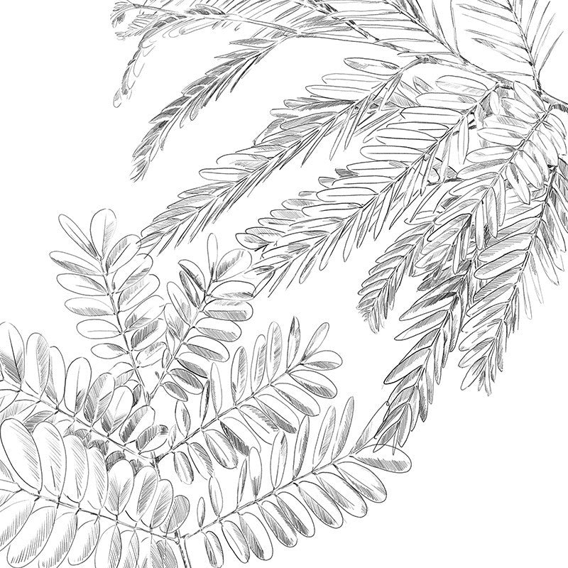 Parure De Lit Monstera Blanc Et Vert 240x220 Atmosphera